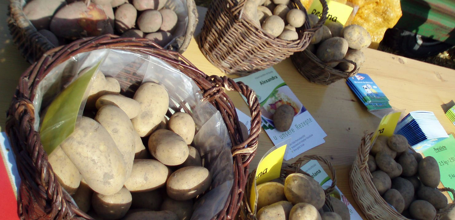 Kartoffelsorten frisch ab Hof